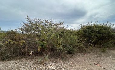 Terreno en Venta, Lomas del Country Chapala, 1,343m2