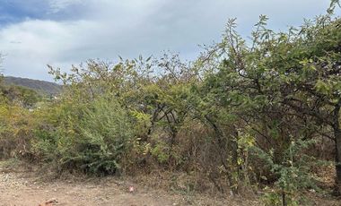 Terreno en Venta, Lomas del Country Chapala, 1,343m2