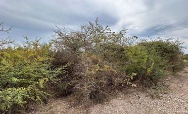 Terreno en Venta, Lomas del Country Chapala, 1,343m2