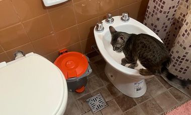 Departamento en  venta