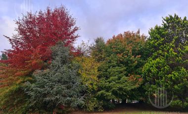 Casa de 5amb con ambientes amplios  en Solar del Bosque