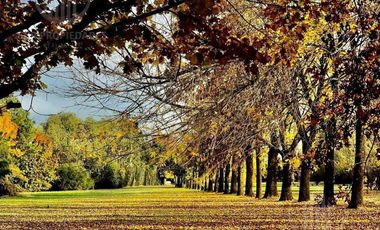 Casa de 5amb con ambientes amplios  en Solar del Bosque