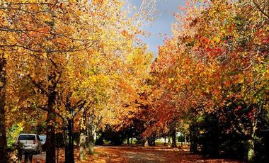 Casa de 5amb con ambientes amplios  en Solar del Bosque