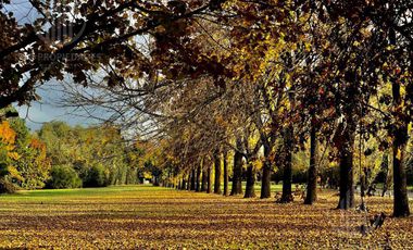 Casa de 5amb con ambientes amplios  en Solar del Bosque