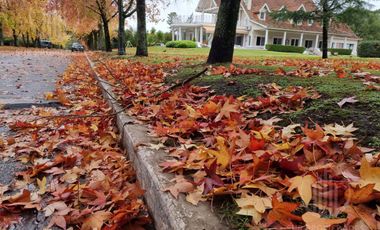 Casa de 5amb con ambientes amplios  en Solar del Bosque