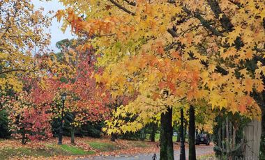 Casa de 5amb con ambientes amplios  en Solar del Bosque