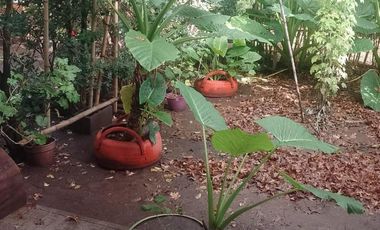 Exc. Dúplex en 2 Plantas con Fondo y Cochera Para 2 Autos