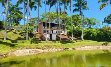 🔥Finca campestre de uso comercial sobre vía principal en Combia 🌿