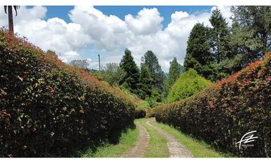 LOTE EN VENTA EN GUARNE,ANTIOQUIA