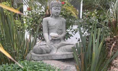 RENTA DEPARTAMENTO QUERETARO JURIQUILLA RANCHO LARGO