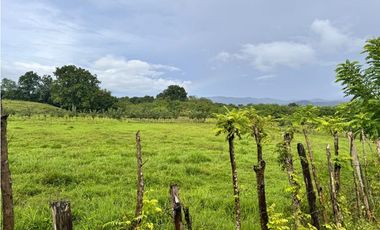 Se venden lotes en El Piro, San Martin