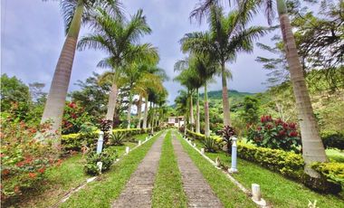 Finca para la venta en ciudad bolivar, corregimiento de farallones