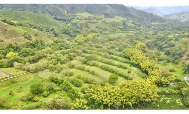 Finca para la venta en ciudad bolivar, corregimiento de farallones