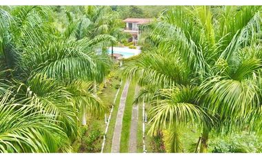 Finca para la venta en ciudad bolivar, corregimiento de farallones