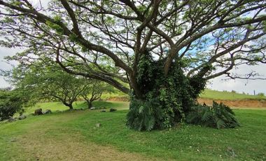 Se Vende Lote Campestre En Lagos De Maracaibo Palmira