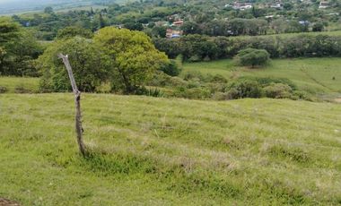 Se Vende Lote Campestre En Lagos De Maracaibo Palmira