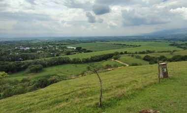 Se Vende Lote Campestre En Lagos De Maracaibo Palmira
