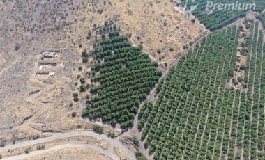 Parcela en Venta en Fundo Talanquen