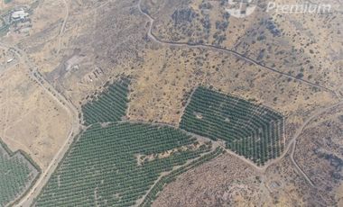 Parcela en Venta en Fundo Talanquen