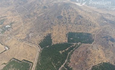 Parcela en Venta en Fundo Talanquen