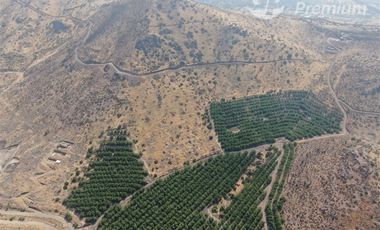 Parcela en Venta en Fundo Talanquen