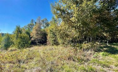 Casa en Arriendo en Segunda faja - Lefún.