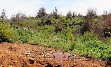 Parcela en venta  en PELLUHUE