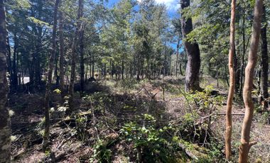 Parcela en venta en VILLARRICA