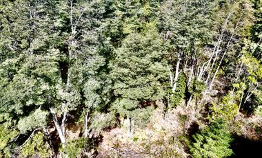 Parcela en venta en VILLARRICA