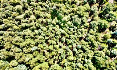 Parcela en venta en VILLARRICA