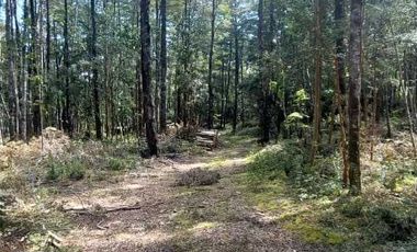 Parcela en venta en VILLARRICA