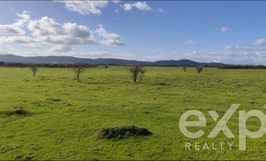 Terreno Construccion en Venta en Santa Sara HJ1-B-1BLT 22,Vilquico Ninhue