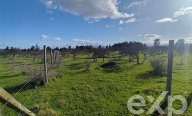 Terreno Construccion en Venta en Santa Sara HJ1-B-1BLT 22,Vilquico Ninhue