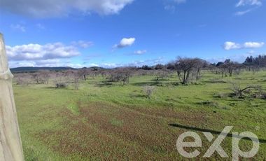 Terreno Construccion en Venta en Santa Sara HJ1-B-1BLT 22,Vilquico Ninhue