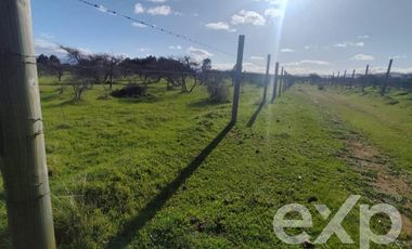Terreno Construccion en Venta en Santa Sara HJ1-B-1BLT 22,Vilquico Ninhue