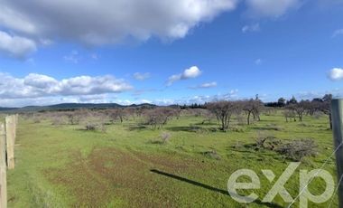 Terreno Construccion en Venta en Santa Sara HJ1-B-1BLT 22,Vilquico Ninhue