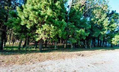 CASA CON PILETA Terreno AMPLIO - Mar De Ajo