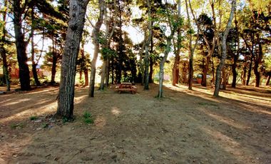 CASA CON PILETA Terreno AMPLIO - Mar De Ajo