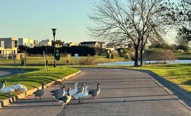 Terreno en Venta en El Molino Haras de Santa Maria