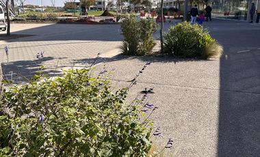 Venta, Terreno, Puertos, Barrio Araucarias, Lote Al 100