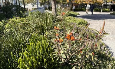 Venta, Terreno, Puertos, Barrio Araucarias, Lote Al 100