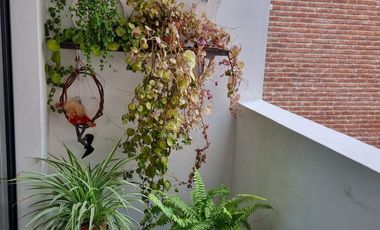 ALQUILER| Departamento 1 DORMITORIO con PILETA en General Paz