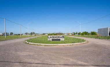 OPORTUNIDAD LOTE EN LAS MORAS - RICARDONE