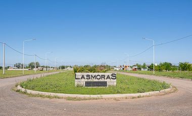OPORTUNIDAD LOTE EN LAS MORAS - RICARDONE