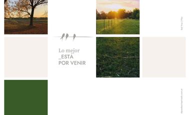 Venta Lotes de 600 mts El Paso Barrio Privado