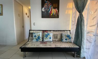 Vida costera ideal en Arica