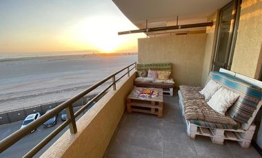 Vida costera ideal en Arica