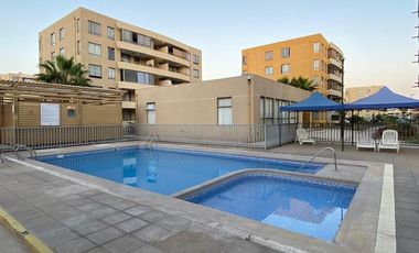 Vida costera ideal en Arica