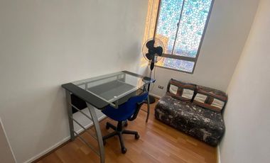 Vida costera ideal en Arica