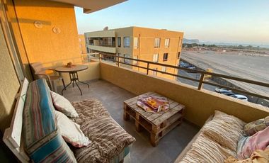 Vida costera ideal en Arica